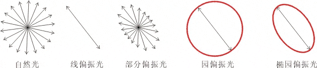 什么是偏振光？偏振光是如何完成檢測的？