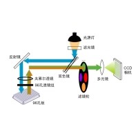 什么是熒光定量PCR、數(shù)字PCR？