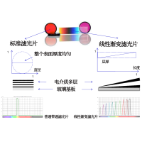 線性漸變?yōu)V光片是什么？有何特點(diǎn)？